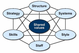 BreekthroughStrategies - McKinsey 7-S Framework